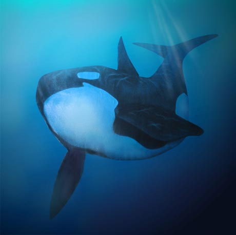 Profeten Jona i valfiskens buk