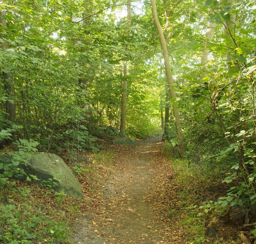 Var finns Gud i kyrkovalet?