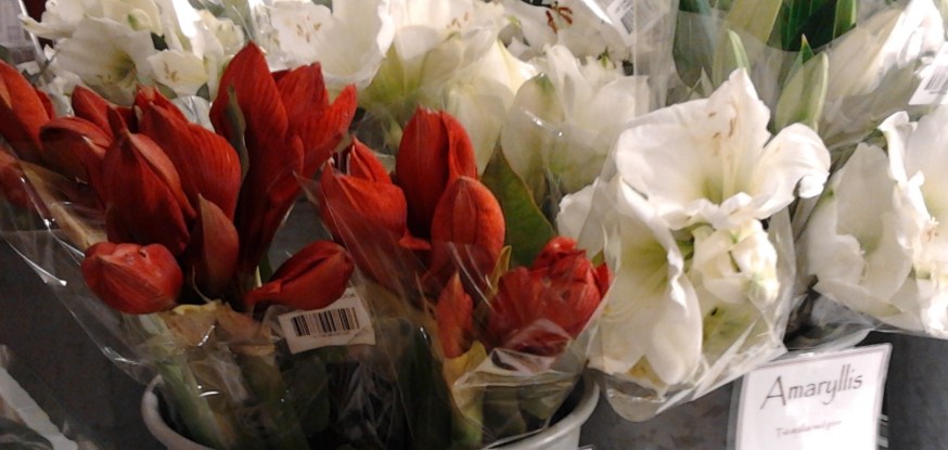 Julhandeln i Stockholm – Medelklassens Liljeholmen