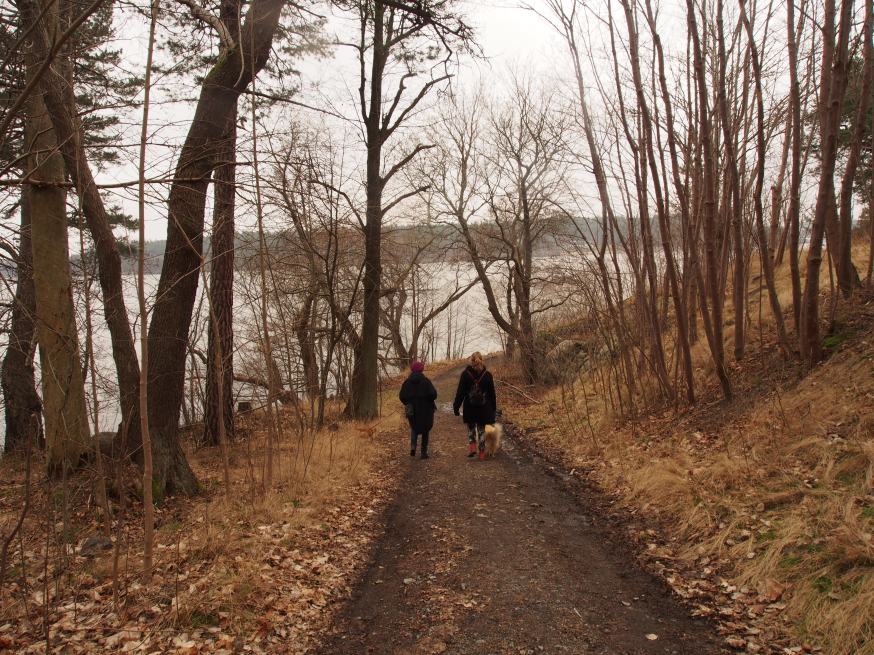 Ankringen i Hägersten