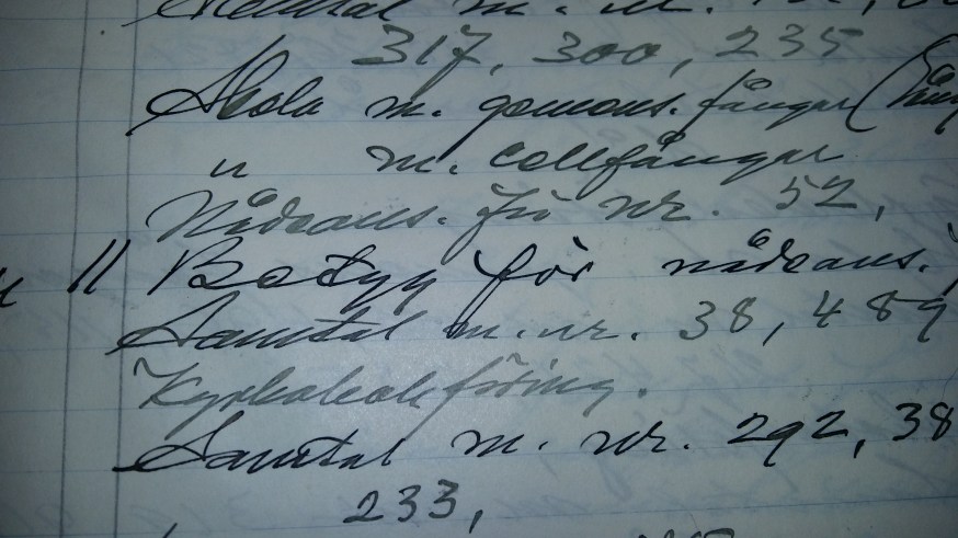 dagbok Långholmen (2)