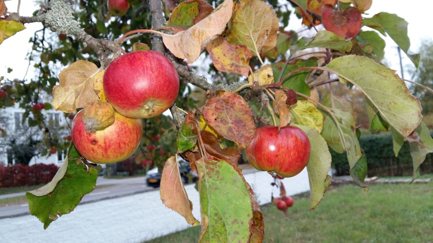 applen-2016-10-13-15-34-16