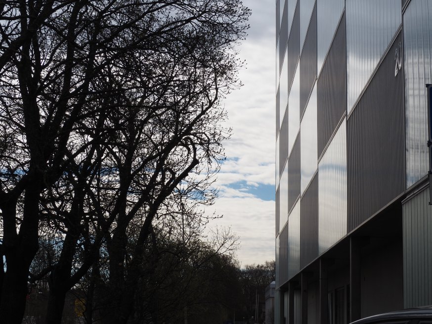 OLYMPUS DIGITAL CAMERA